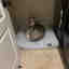 Customer photo 2 of 2