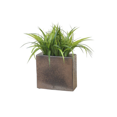 Herbe en pot de bronze