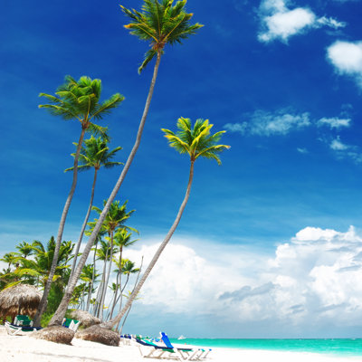 " Caribbean Beach " by Haveseen