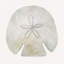 Sea Shell 1 Print-558599316-598825856