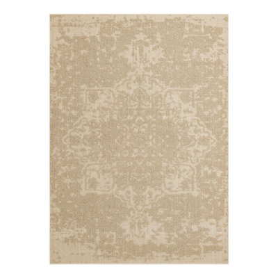 Indoor/Outdoor Traditional Area Rug