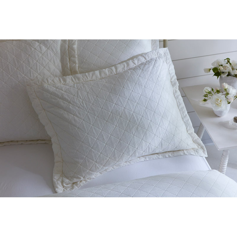Salt River Grey Cotton Sham, Euro, Beige