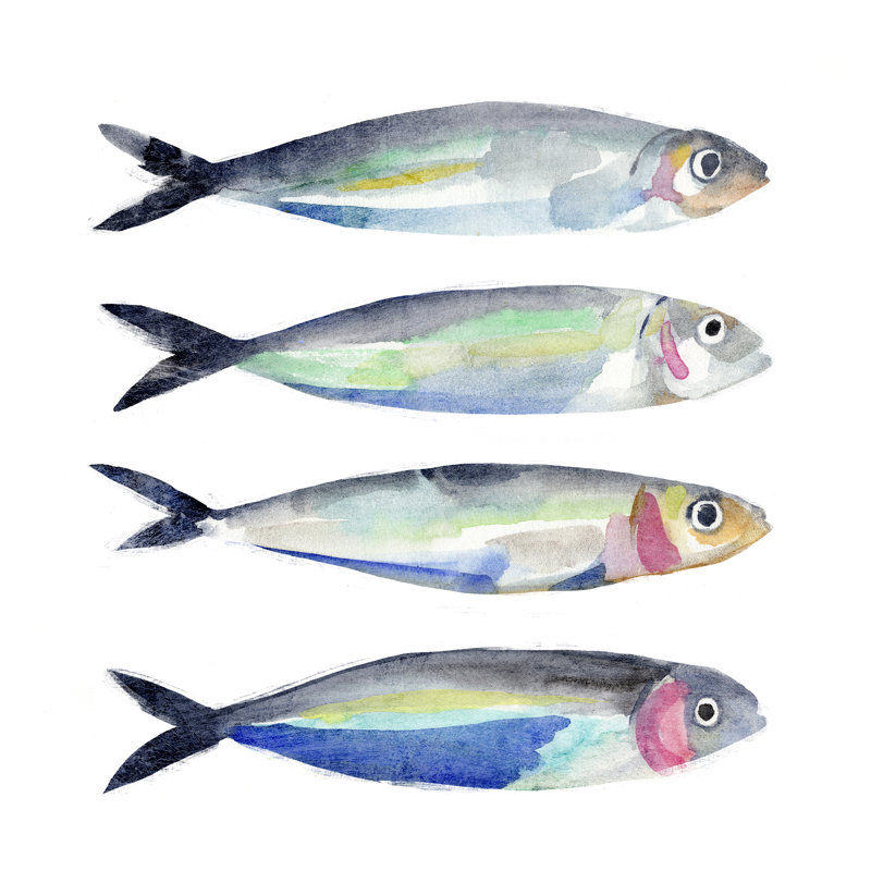 Sardine Team II by Annie Warren - Wrapped Canvas Painting, 30cm H x 30cm W x 3.8cm D