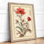 Carnation Study Botanical - Framed Print-1899488433-1899488446