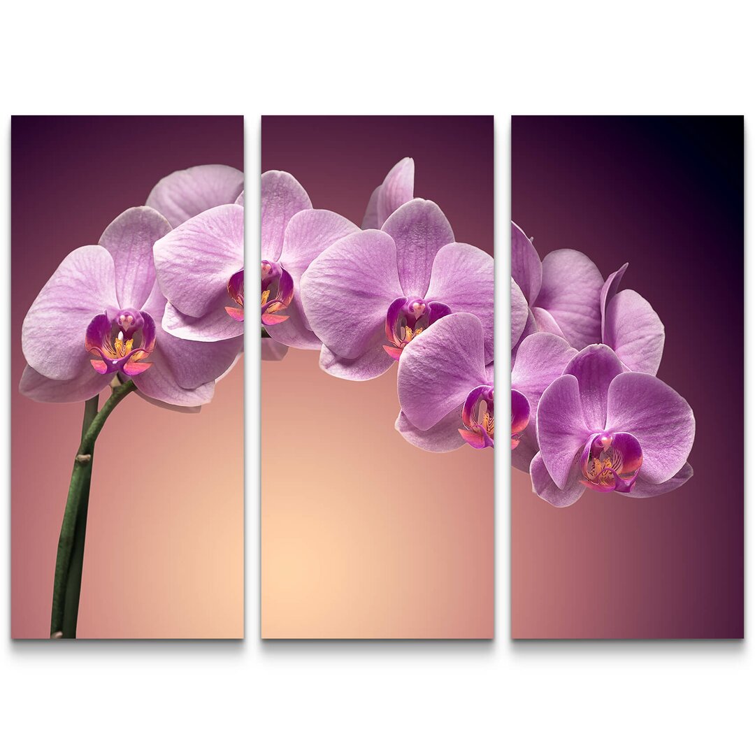 3-tlg. Leinwandbilder-Set Rosa Orchideenrispe