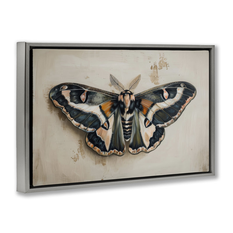 Toile flottante encadrée gris foncé papillon de nuit par Petal Prints Design, Cadre flottant gris lustré, H 21 po x l 31 po