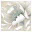 «Winter Blooms II», reproduction de peinture acrylique sur toile tendue-787680042