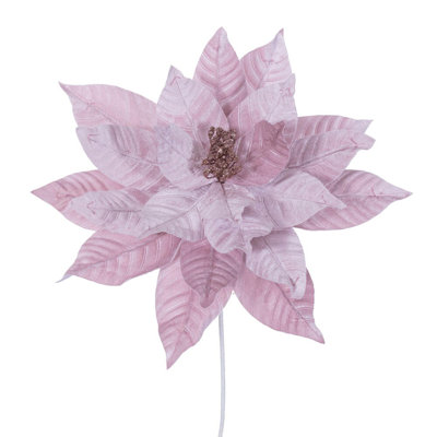 Tiges de poinsettia Clementina