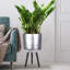 Metallic Concrete Effect Cylinder Round Planter on Hardwood Legs, Round Indoor Plant Pot Stand for Indoor Plants, Indoor Flower Pot-1091484464-1091484470
