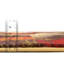 Tapis contemporain multicolore Baynebridge-511835355
