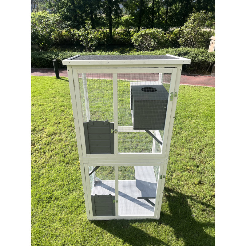 Cage de jeu d'extérieur pour chat
