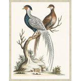 Grand Pheasant 2 Print