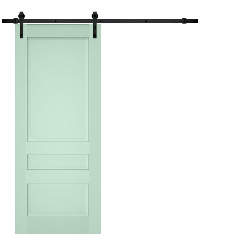Porte de grange à panneaux en bois Veregio, 79,5 po x 17 po, Olive