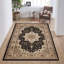 Arrianna Traditional Carpet Living Room Rug Kitchen Mat Floral Flatweave Black Rug -689317881