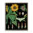 Cadre flottant orme Montalcino sélectionné