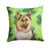 German Shepherd 1
