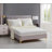Ruffled Edge Microfiber Bed in a Bag Comforter Set-595734750-595734742