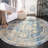 Emberlin Performance Oriental Rug-24292551