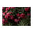 Floral Pattern Non-Woven Thin Type Printed Rug Ideal for Enhancing Home Decor with an Elegant Touch-443705589