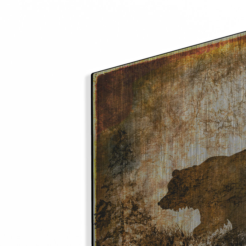 «High Country Bear» par Lightbox Journal, H 24 po x l 24 po