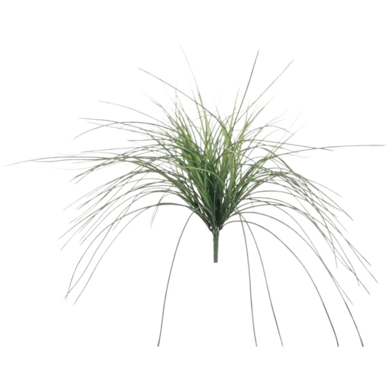 23" Mondao Grass Bush - 2 Pack