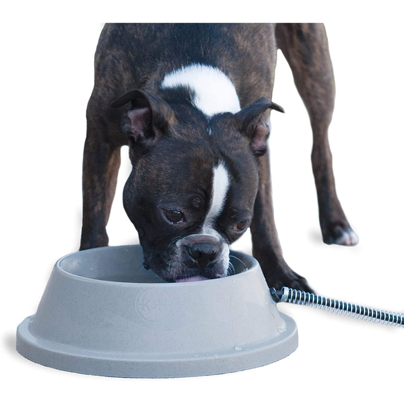 Pet Bowl