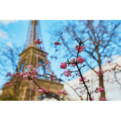 Ciclaly Spring In Paris, France sur toile par Encrier
