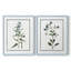 Impression encadrée Shabby Elegance Botanical I-Premium - prête à être accrochée - aucun clou requis - aucun clou requis-1992462120-1992462134
