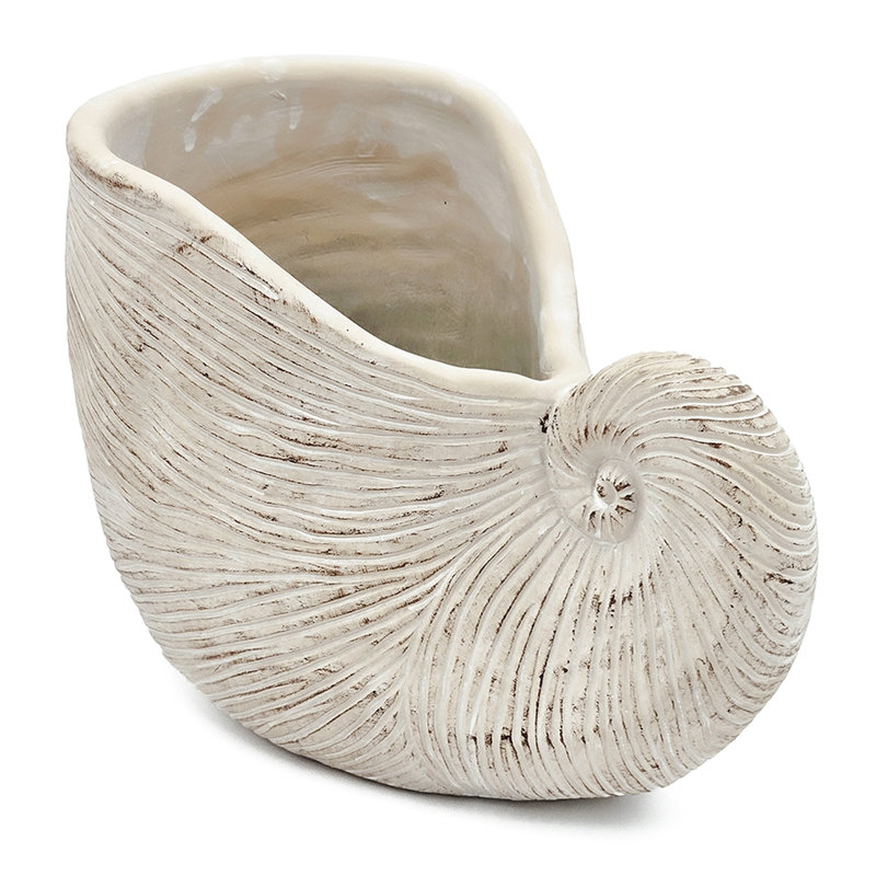 Textured Beige Sand And Cement Shell Planter Ideal For Herbs Adding A Peaceful Ambiance To Your Bedroom 11.5X6.7X7.7 Inches With Shape Neutral Color Trailing Plant Garden