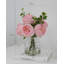 Plante de 13 po-103117142
