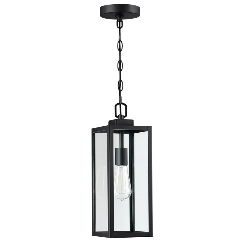 Schlesinger Outdoor Hanging Lantern