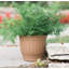 Jardinière en plastique Carmer-1214958718-1214958706
