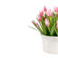 Remy Hyacinth Arrangement-899542455
