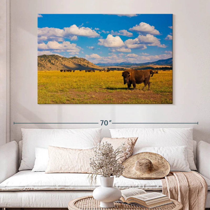 Bison dans le parc national, H 34 po x l 51 po