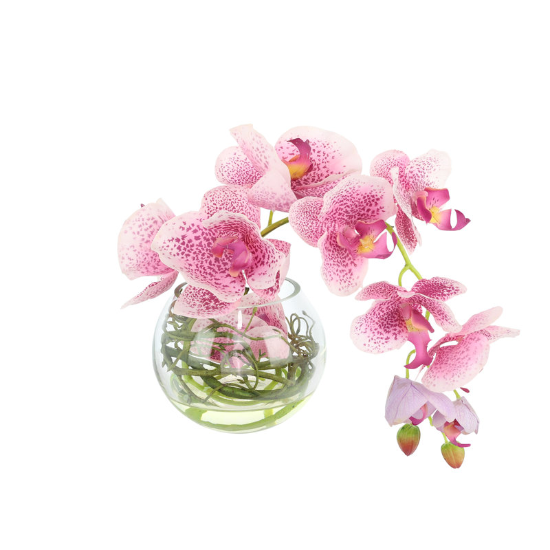 Orchids Arranged With Vines In A Clear Glass Bubble Bowl