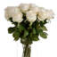 Arrangement