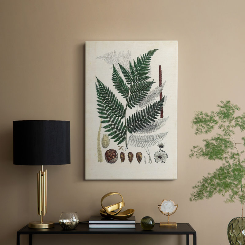 Collectionner Ferns IV - galerie sur mesure, H 18 po x l 12 po