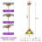 1 - Light Glass Single Pendant With Adjustable Height