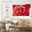 Harnek rose brillant-108154941
