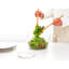Brabantia Tasty+ Salad Spinner