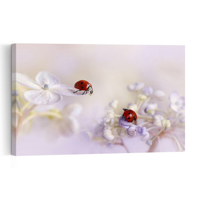 Delicate Ladybugs On Flowers Delicate Ladybug Flower Nature Wall Art Print by Ellen van Deelen - 1 Piece Wrapped Canvas Wall Art