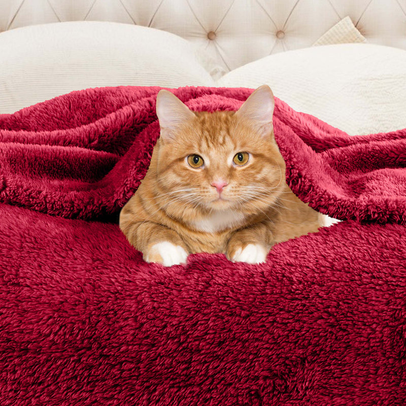 Superior Solid Polyester Reversible All-Season Fleece Throws Blanket, Red, Throw XL
