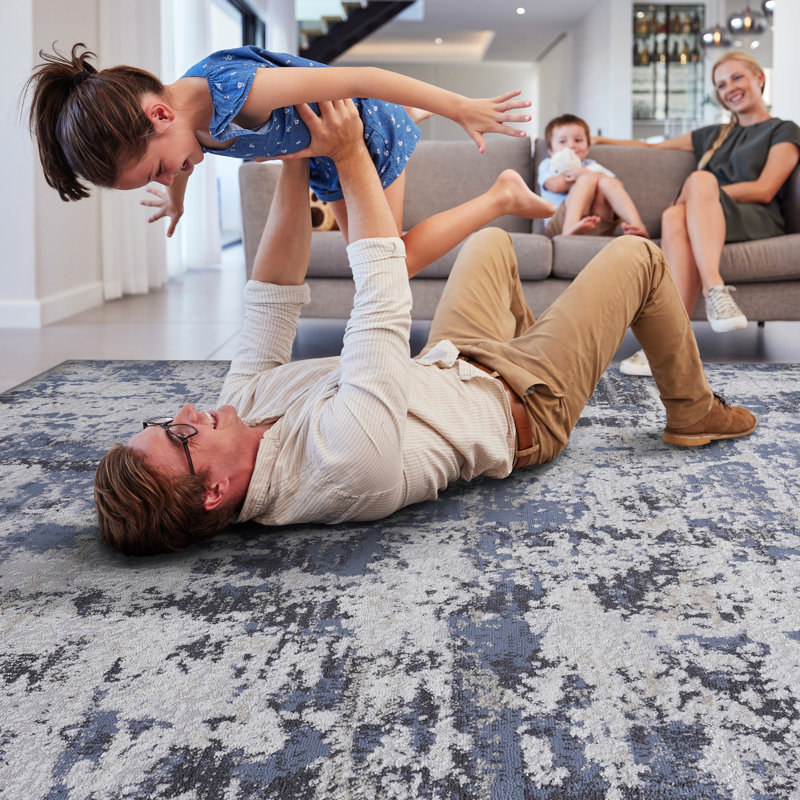 Grey Area Rug - Stain And Non-Shedding For Living Room, Dining, Bedroom Living, Bedroom, Dining Elegant, Rectangle 2' x 3'
