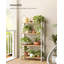60 cm W Bamboo / Rattan Shelving Unit-682319184