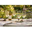 Ensemble de 4 verres à vin de prestige Prestige, 375 ml de verre à vin Haber élégant pour Chardonnay, Sauvignon Blanc et Pinot Grigio