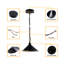 Hockinson 1 - Light Pendant