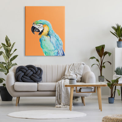 Perroquet aras tropical
