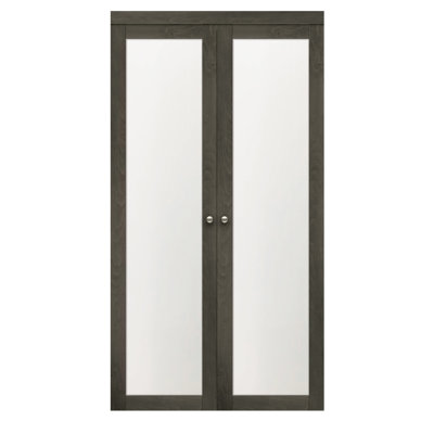 Porte pivotante Euro 1-Lite