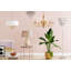 Margarita 8 - Light Candle Style Chandelier-26614885-27032766