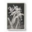 Orchids by Theo Van Hoytema - Wrapped Canvas-61842666